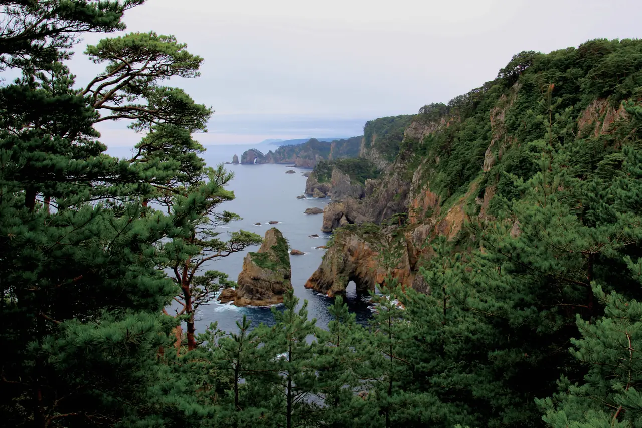 松の木々の間から見下ろす、切り立った断崖と岩の島が続く北山崎の海岸
