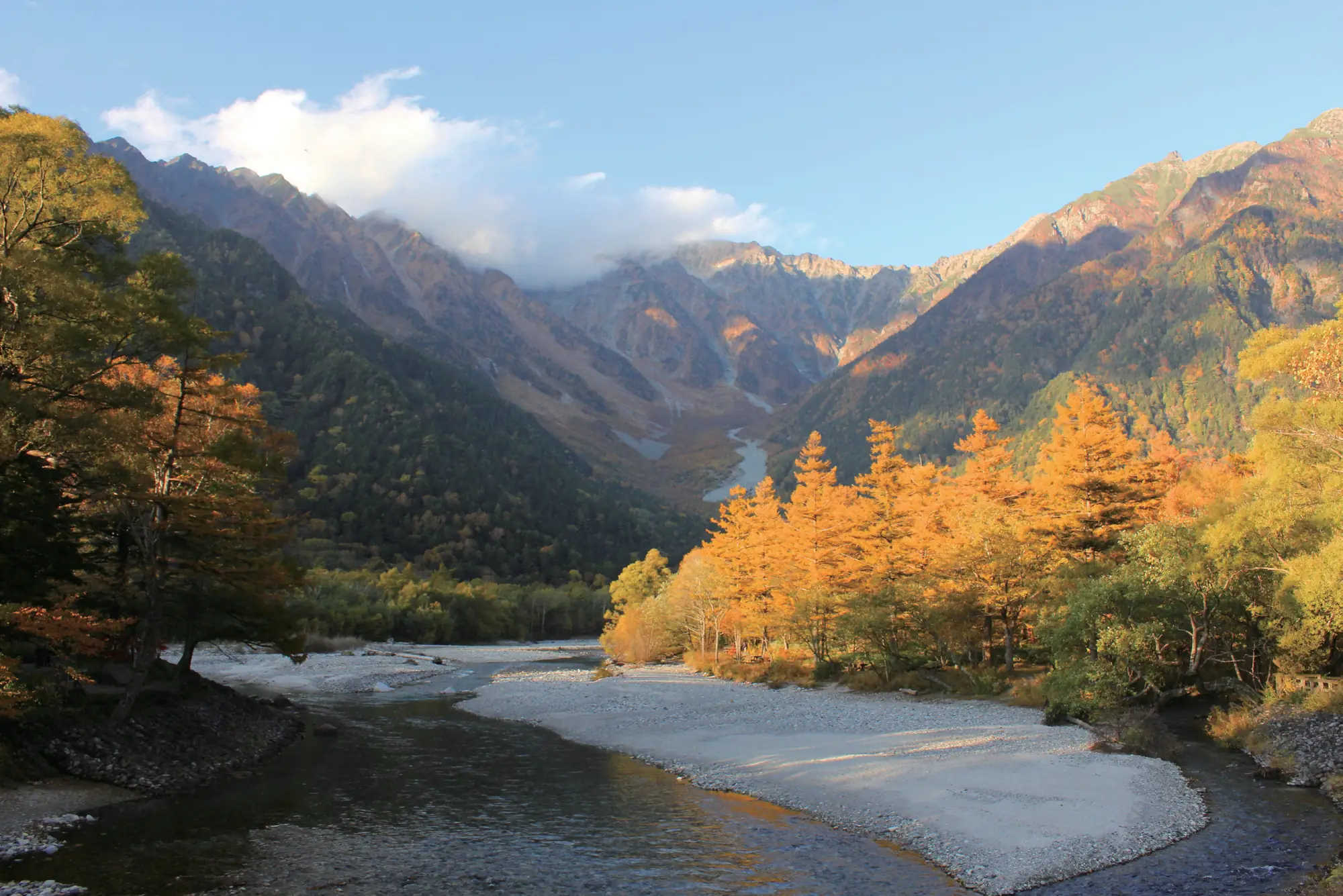 黄金色に色づいた木々と白い河原の向こうに連なる穂高連峰