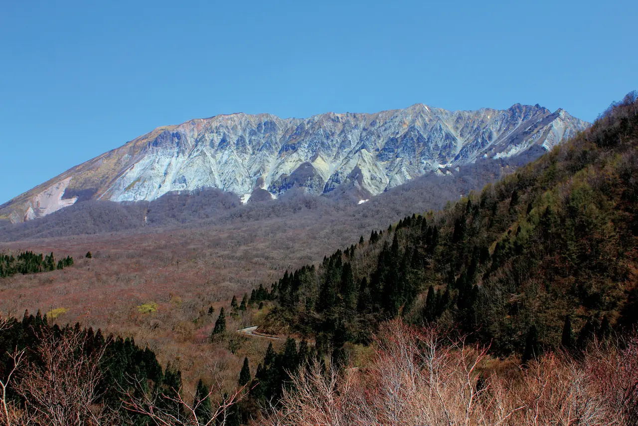 冬枯れの木々の斜面の向こうに、雪をまとった大山の山肌