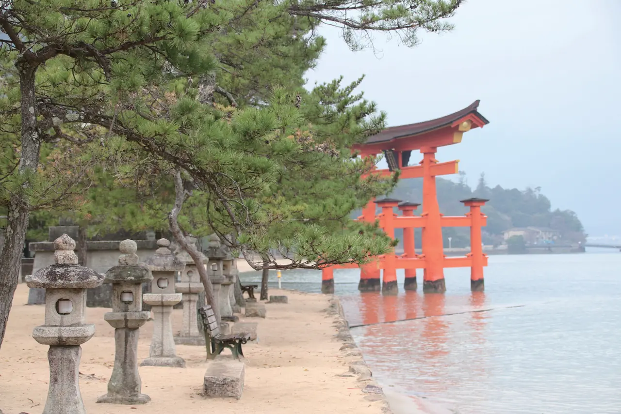 海の中に立つ朱色の大鳥居と、浜辺の石灯籠と松