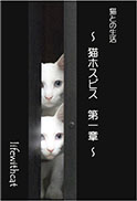 猫との生活