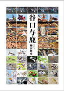 谷口与鹿 表紙