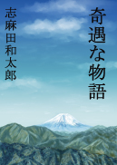 奇遇な物語 表紙