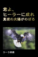 君よ、ヒーラーに成れ 表紙